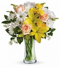 Daisies and Sunbeams Cottage Florist Lakeland Fl 33813 Premium Flowers lakeland